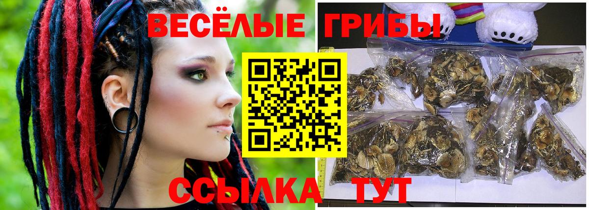 Кумертау  Галлюциногенные грибы прущие грибы  Вход с VPN  Псилоцибиновые грибы MAGIC MUSHROOMS 