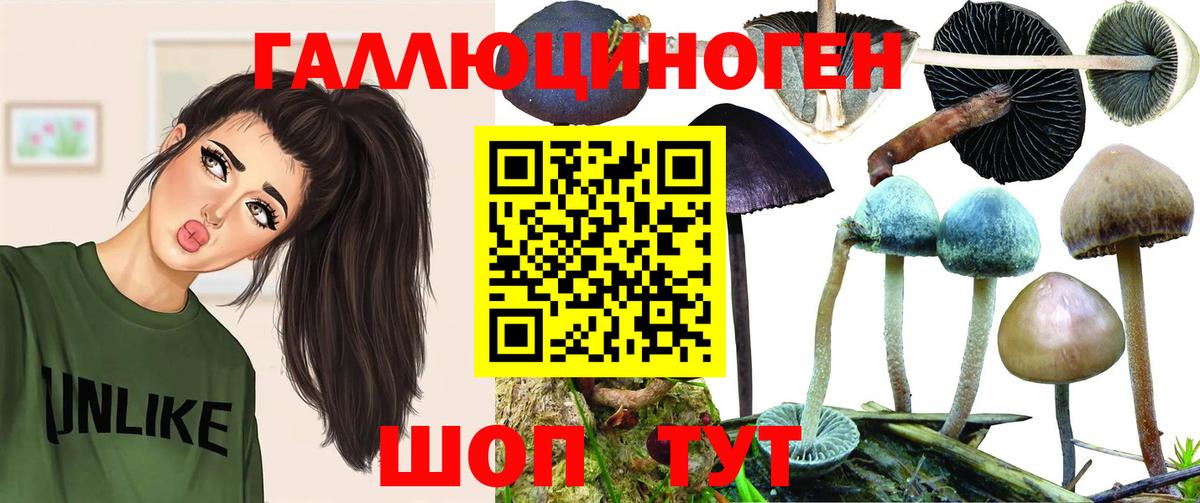 Галлюциногенные грибы ЛСД Кумертау